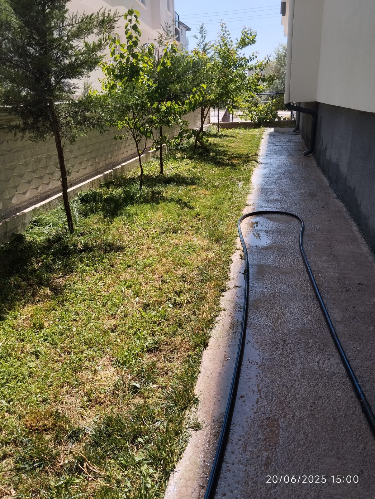 Ceylan Bina Yönetimi